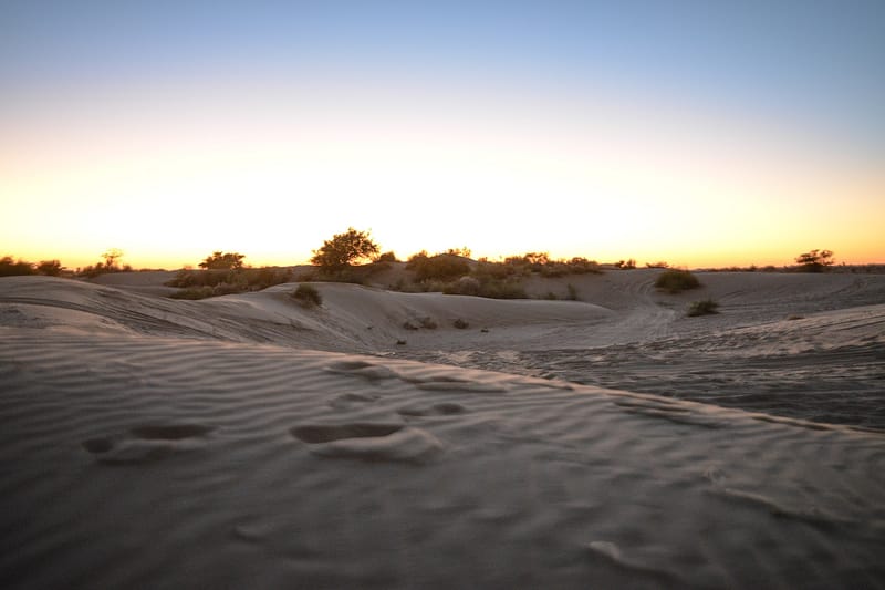 Dunes du désert du Thar au coucher du soleil en Inde