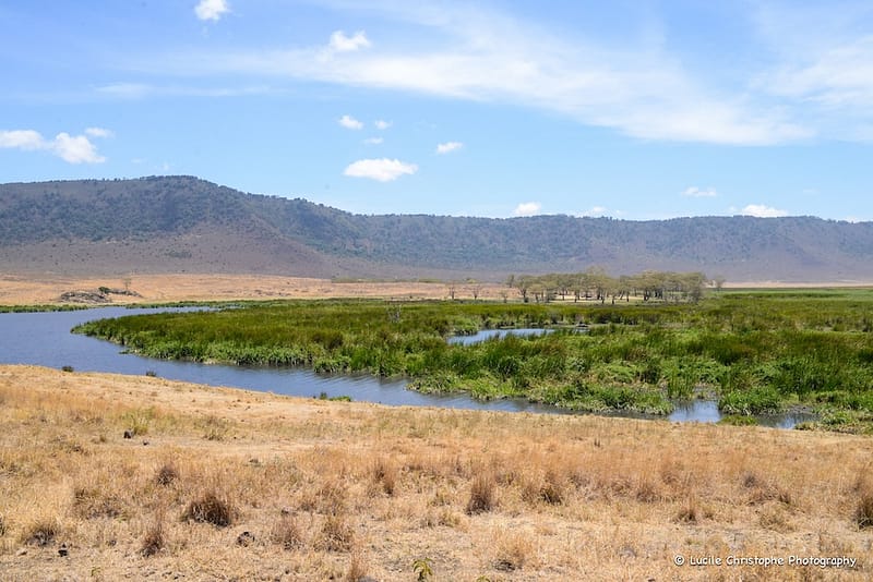 Cratère Ngorongoro