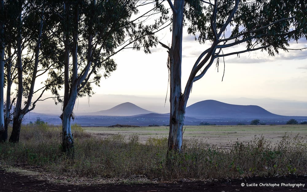Campagne Tanzanienne