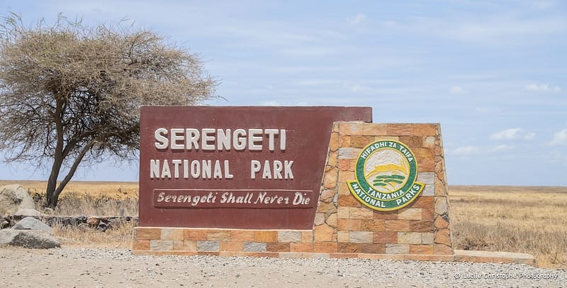 entrée du Serengeti Parc