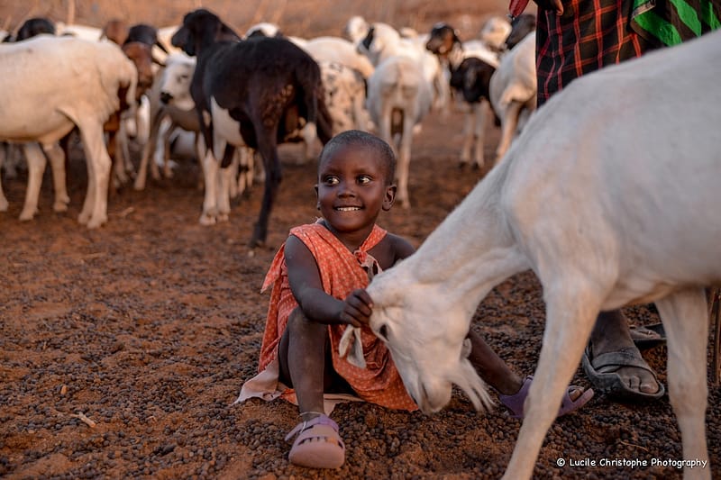 Boma Maasaï, immersion