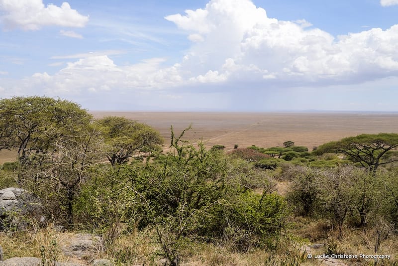 Route/piste vers le Serengeti