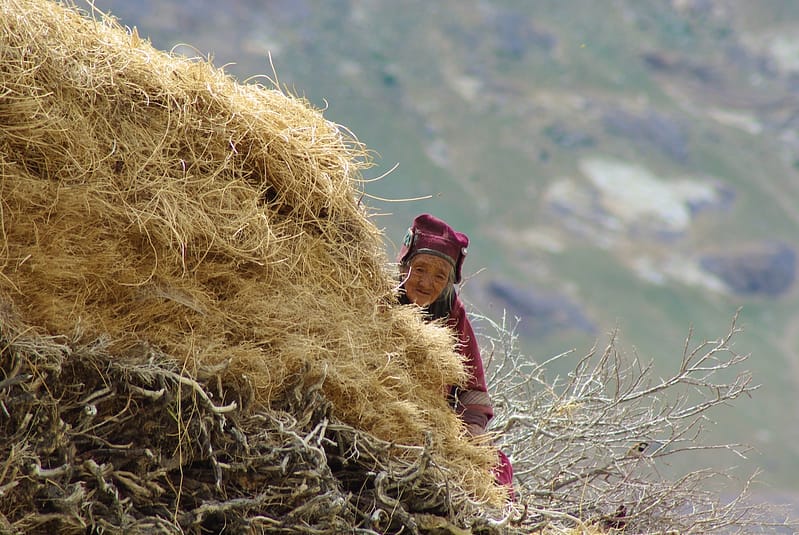 Sur les hauteurs d'un toit au Zanskar