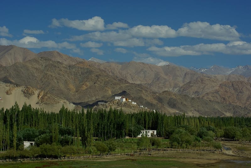 Vallée de l'Indus - Ladakh