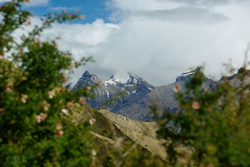 Paysage de montagnes avec sommets enneigés et reliefs escarpés