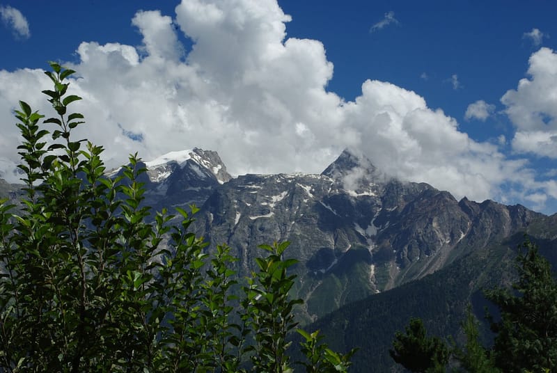 Montagne enneigée observée depuis le village de Kalpa - Kinnaur - Inde du Nord