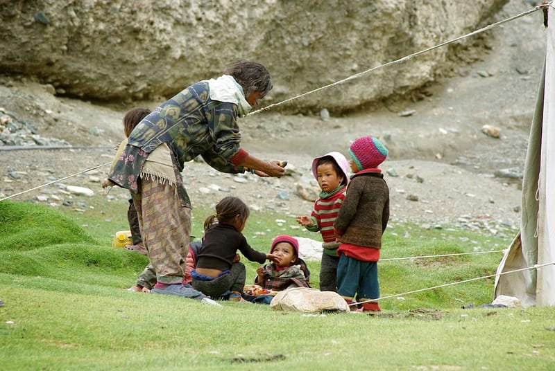 Enfants de Nomade - Ladakh